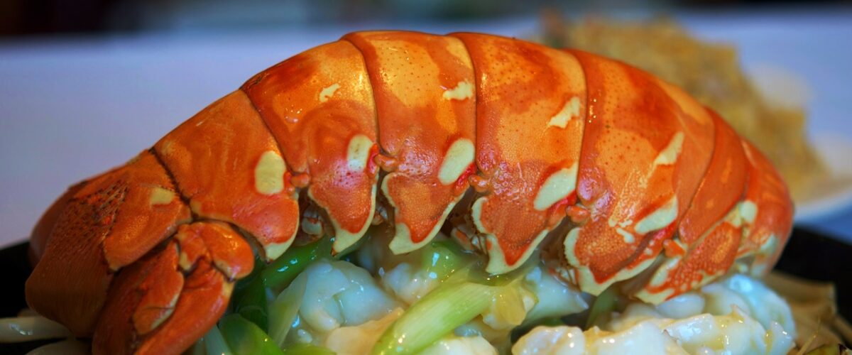 Peacock_Garden_restaurant_lobster